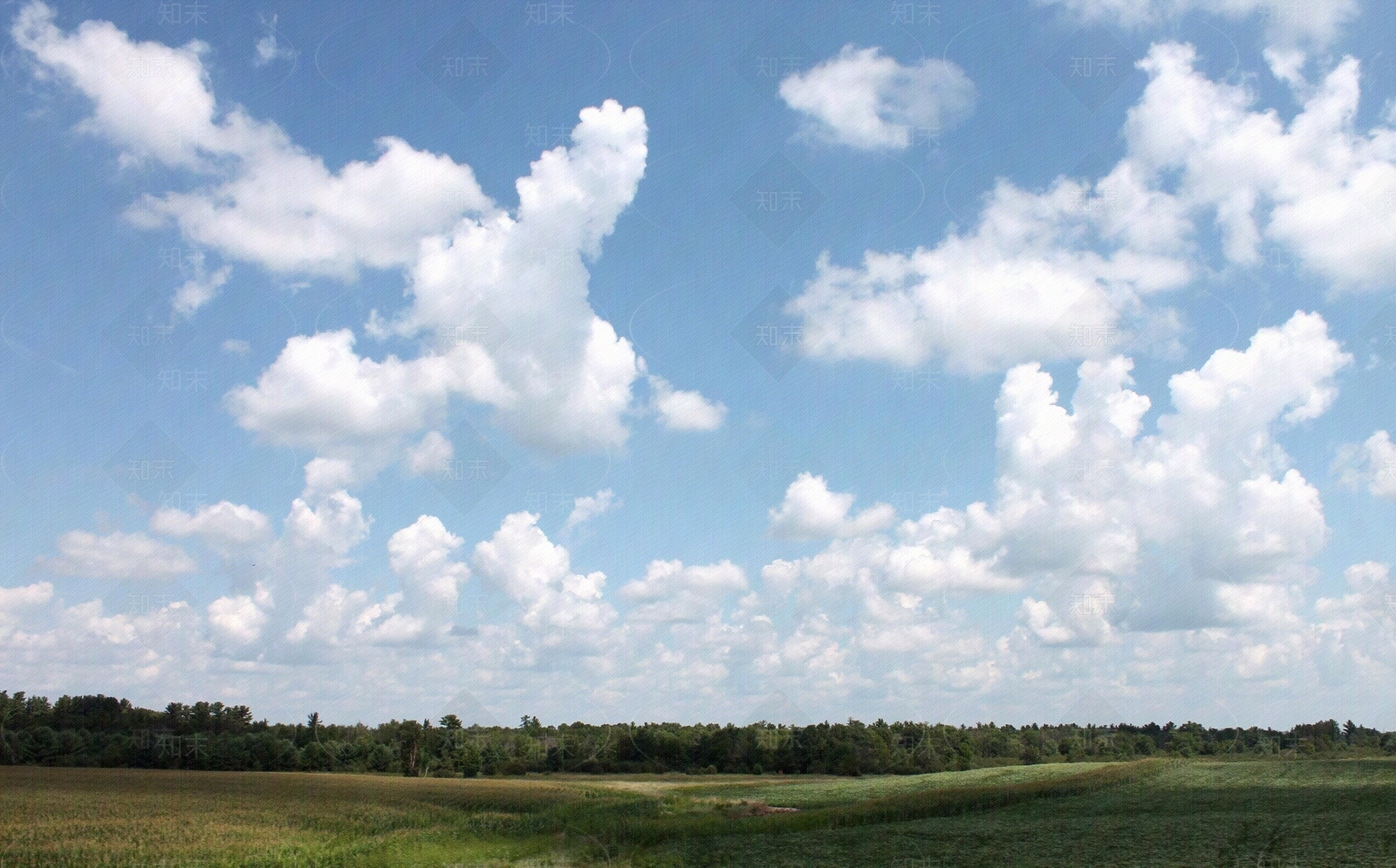 蓝天白云草地背景图贴图下载【ID:1145527953】