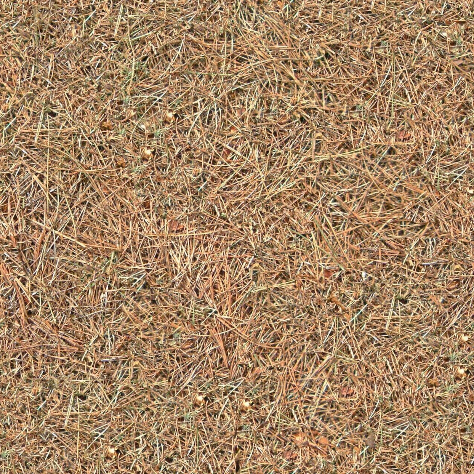 无缝枯草落叶地面贴图贴图下载【ID:1145566216】