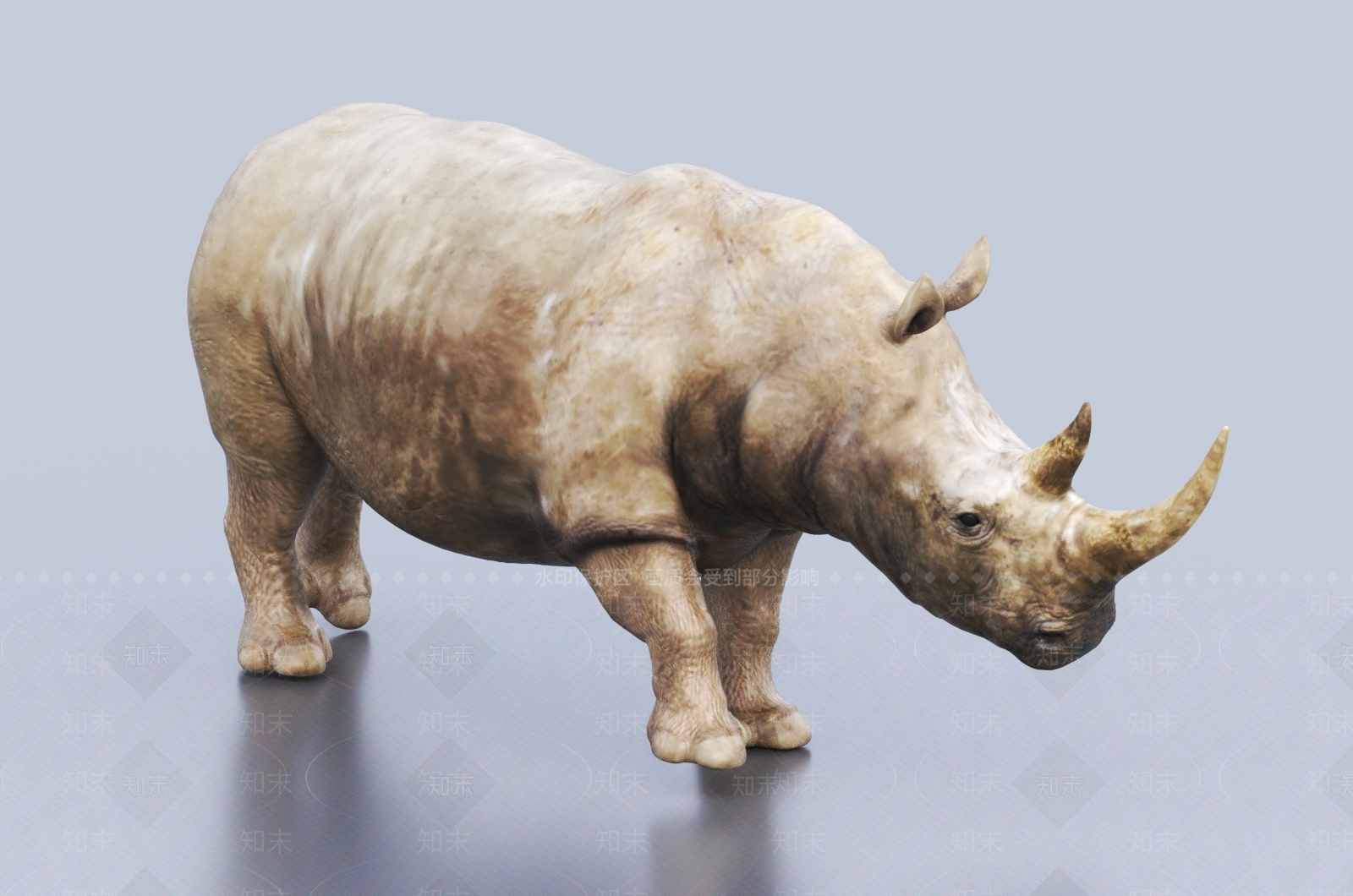 犀牛3D模型下载【ID:1145592530】