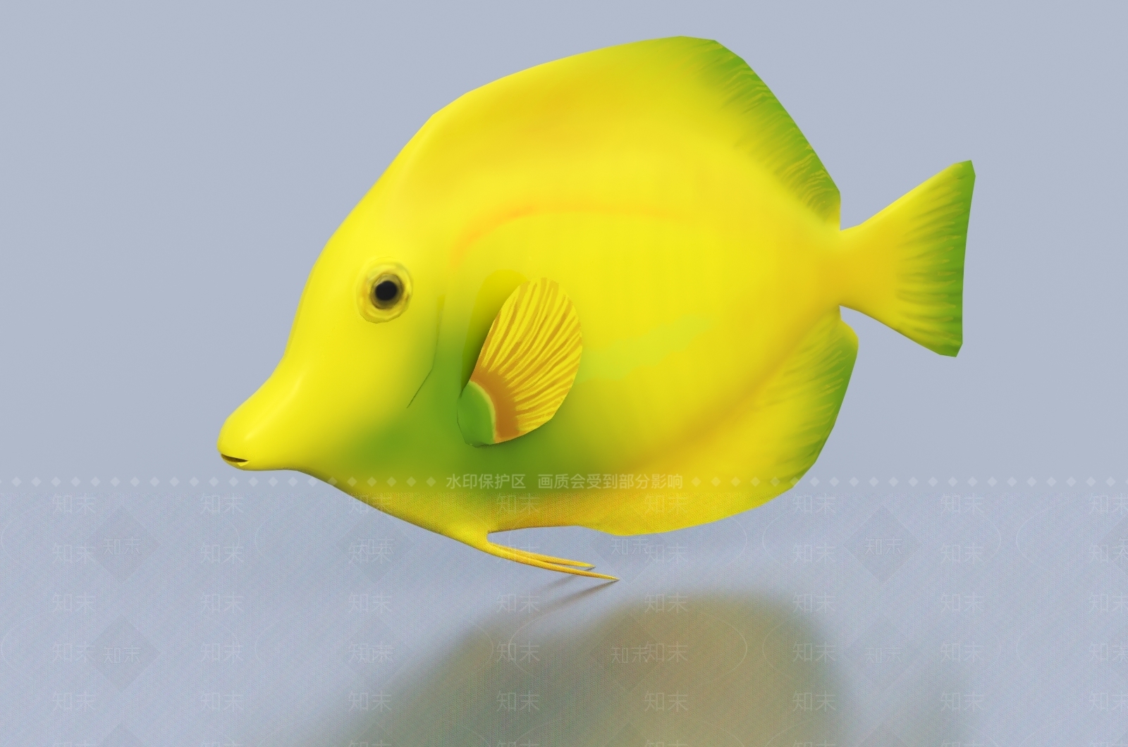 黄高鳍刺尾鱼3D模型下载【ID:1145594755】