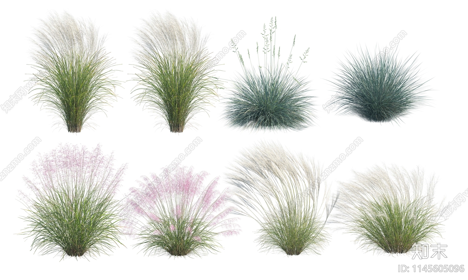 psd免抠芒草下载【ID:1145605096】