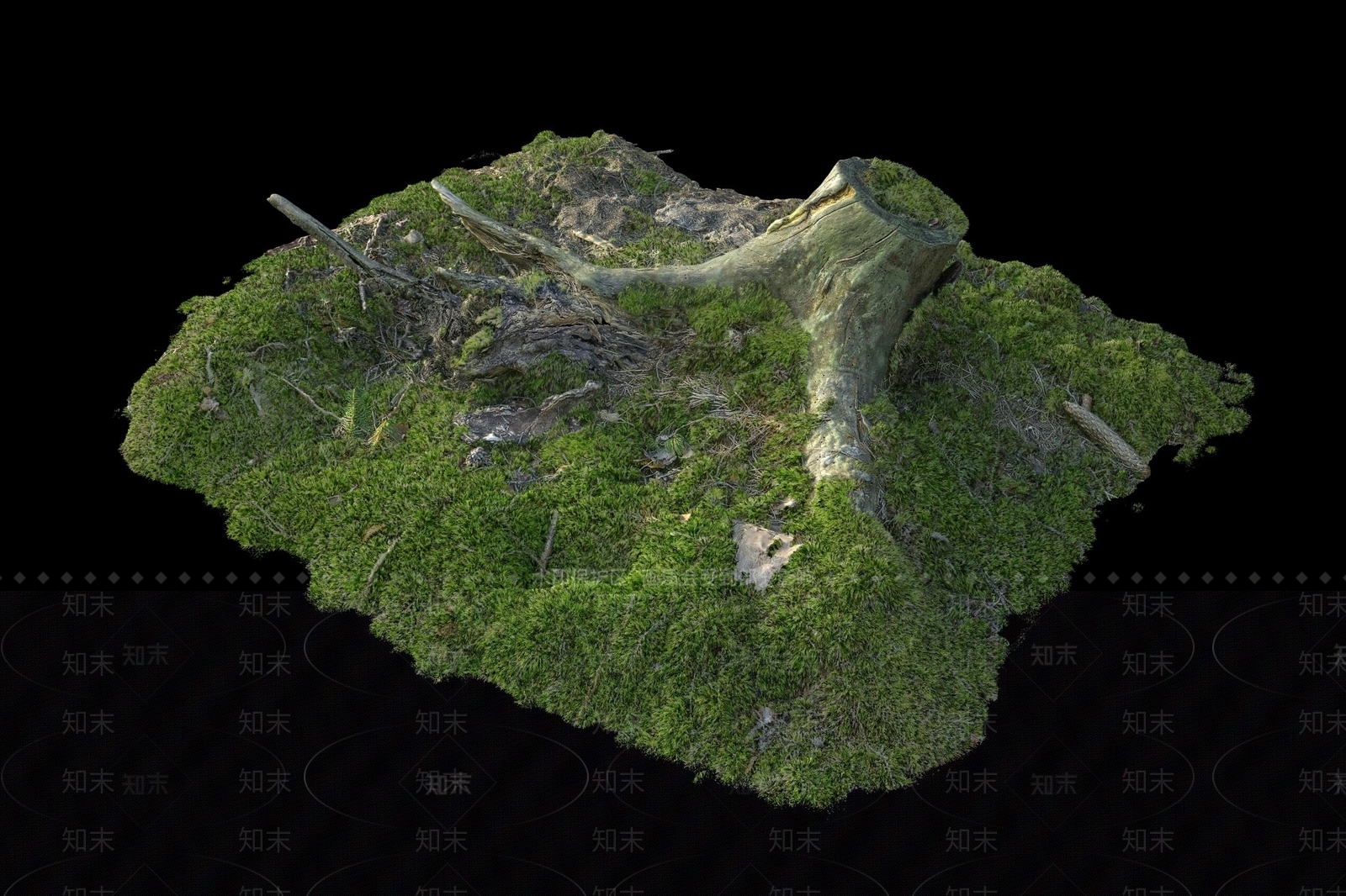 树桩3D模型下载【ID:1145637470】