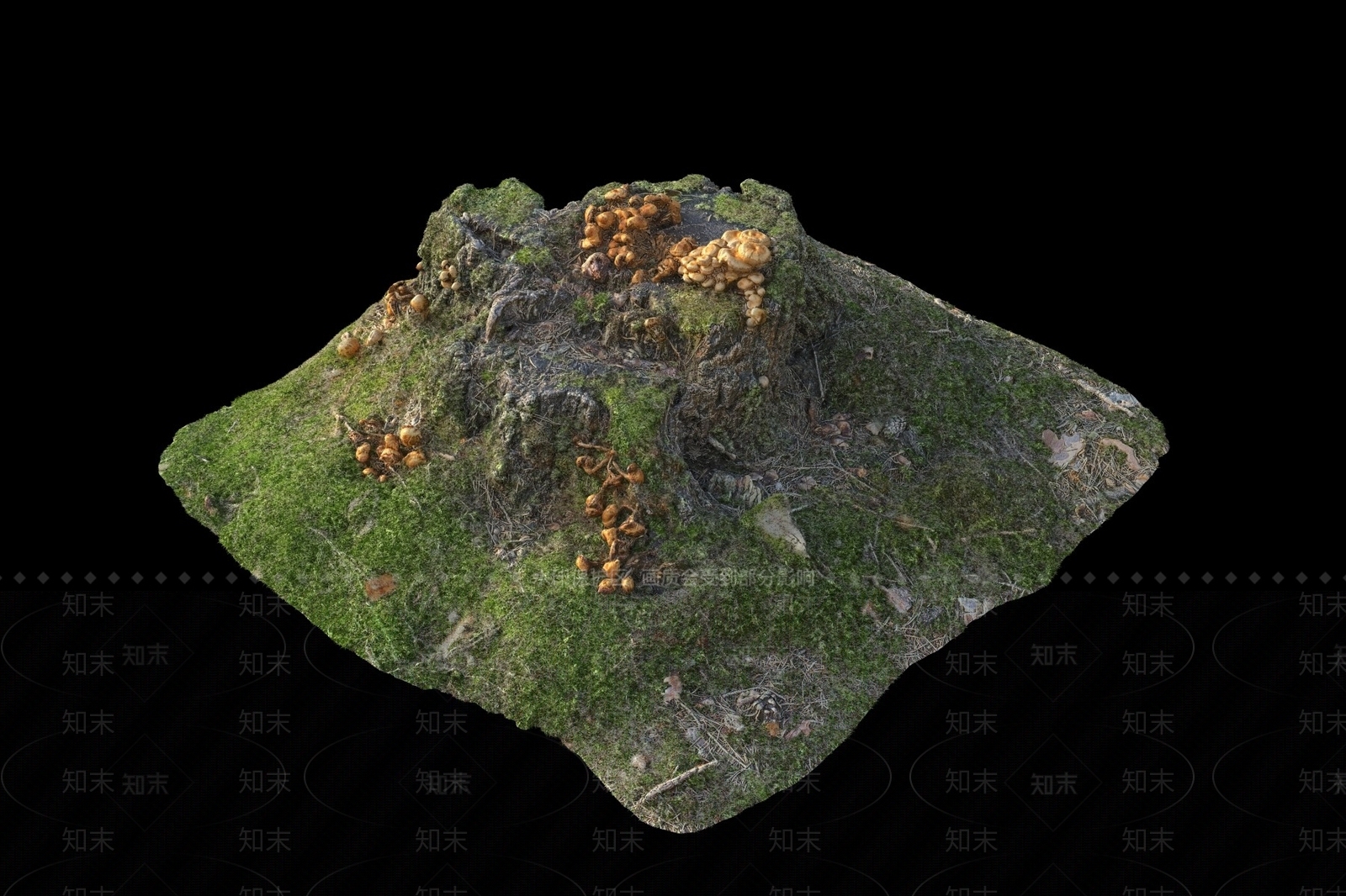 树桩3D模型下载【ID:1145637485】