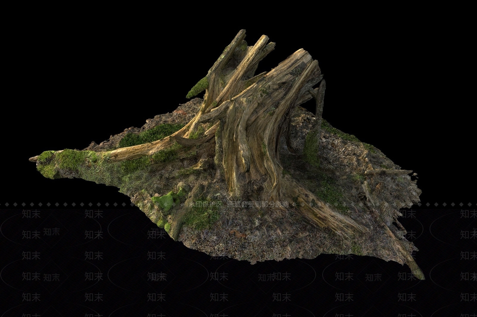 树桩3D模型下载【ID:1145638773】