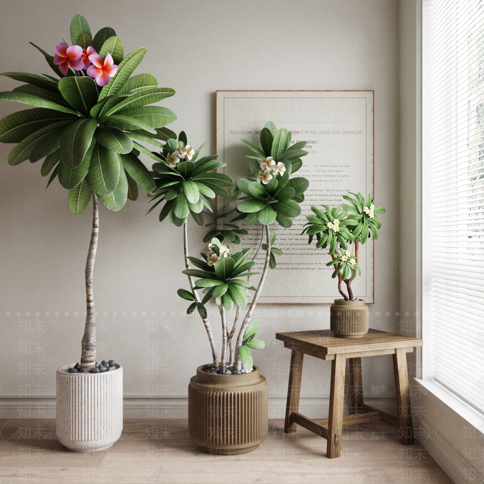 室内盆栽植物3D模型下载【ID:1145721006】