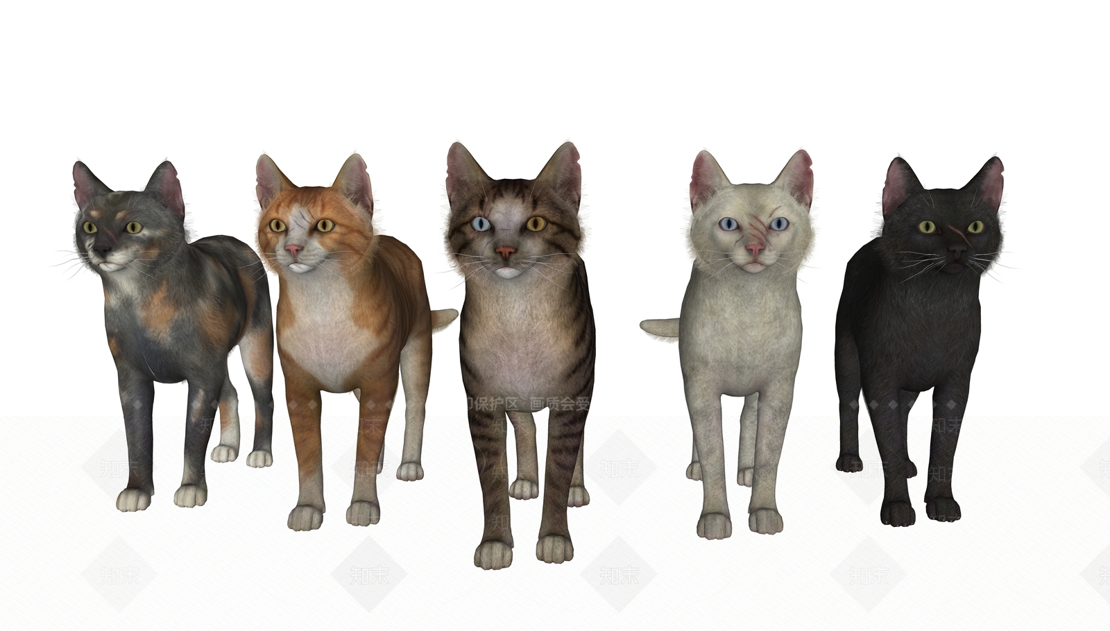 猫SU模型下载【ID:1145732694】