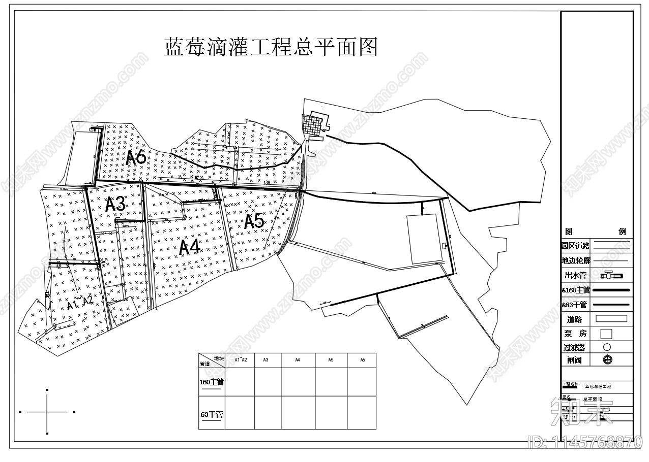 蓝莓滴灌工程设计图cad施工图下载【ID:1145768870】