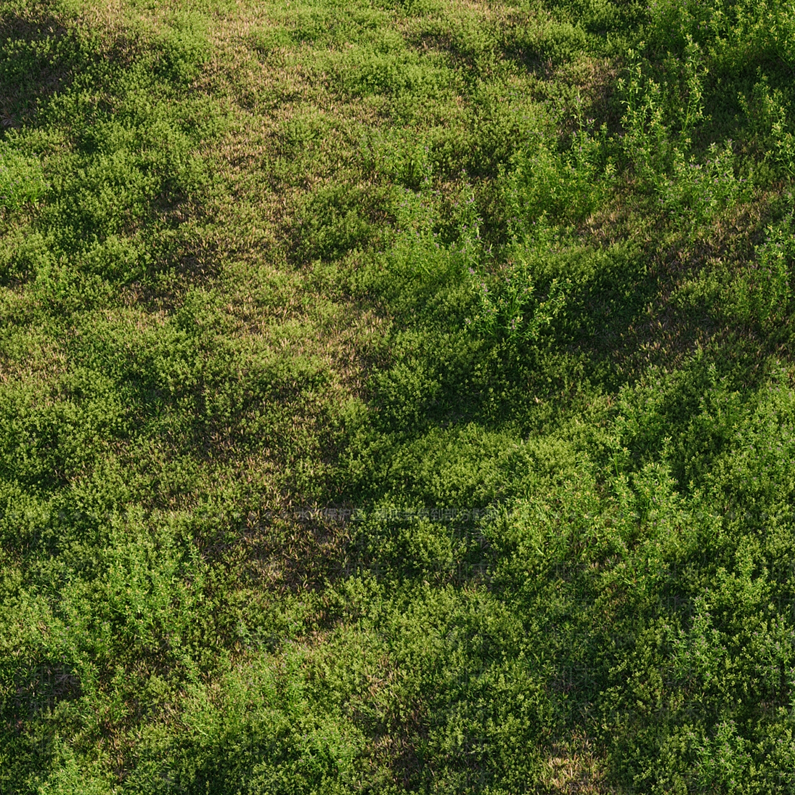 草地3D模型下载【ID:1145796527】