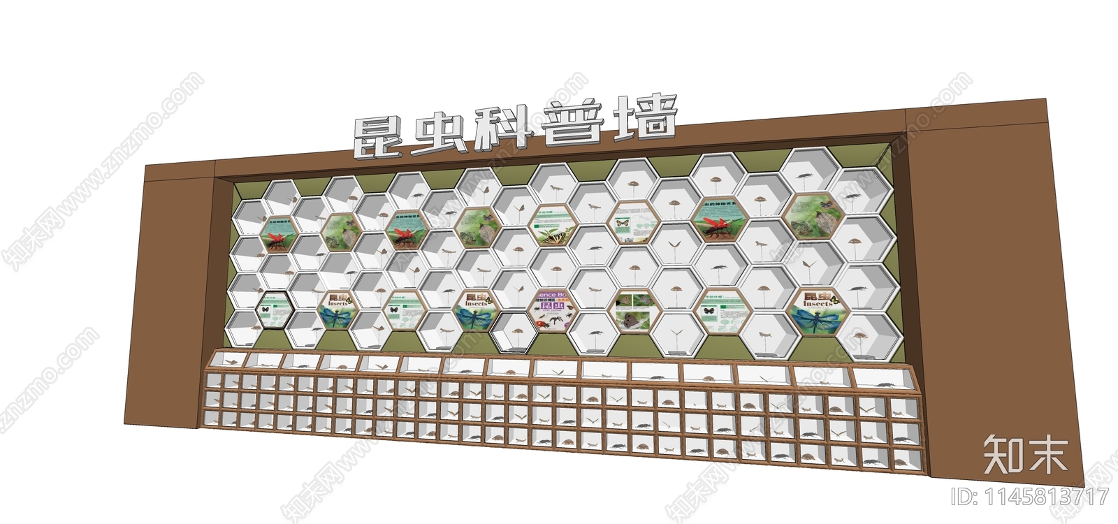 现代昆虫科普墙SU模型下载【ID:1145813717】