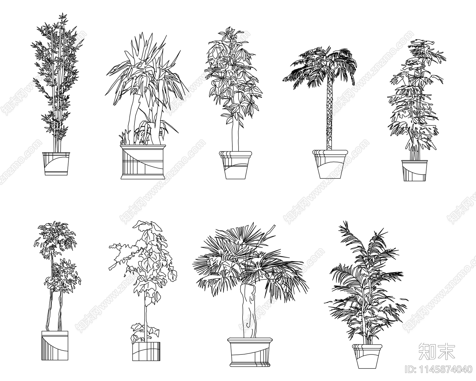 盆栽树木图库施工图下载【ID:1145874040】