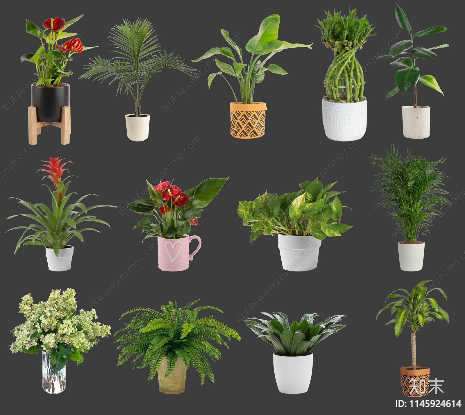 PSD免抠绿植盆栽贴图下载【ID:1145924614】_【知末网贴图库】