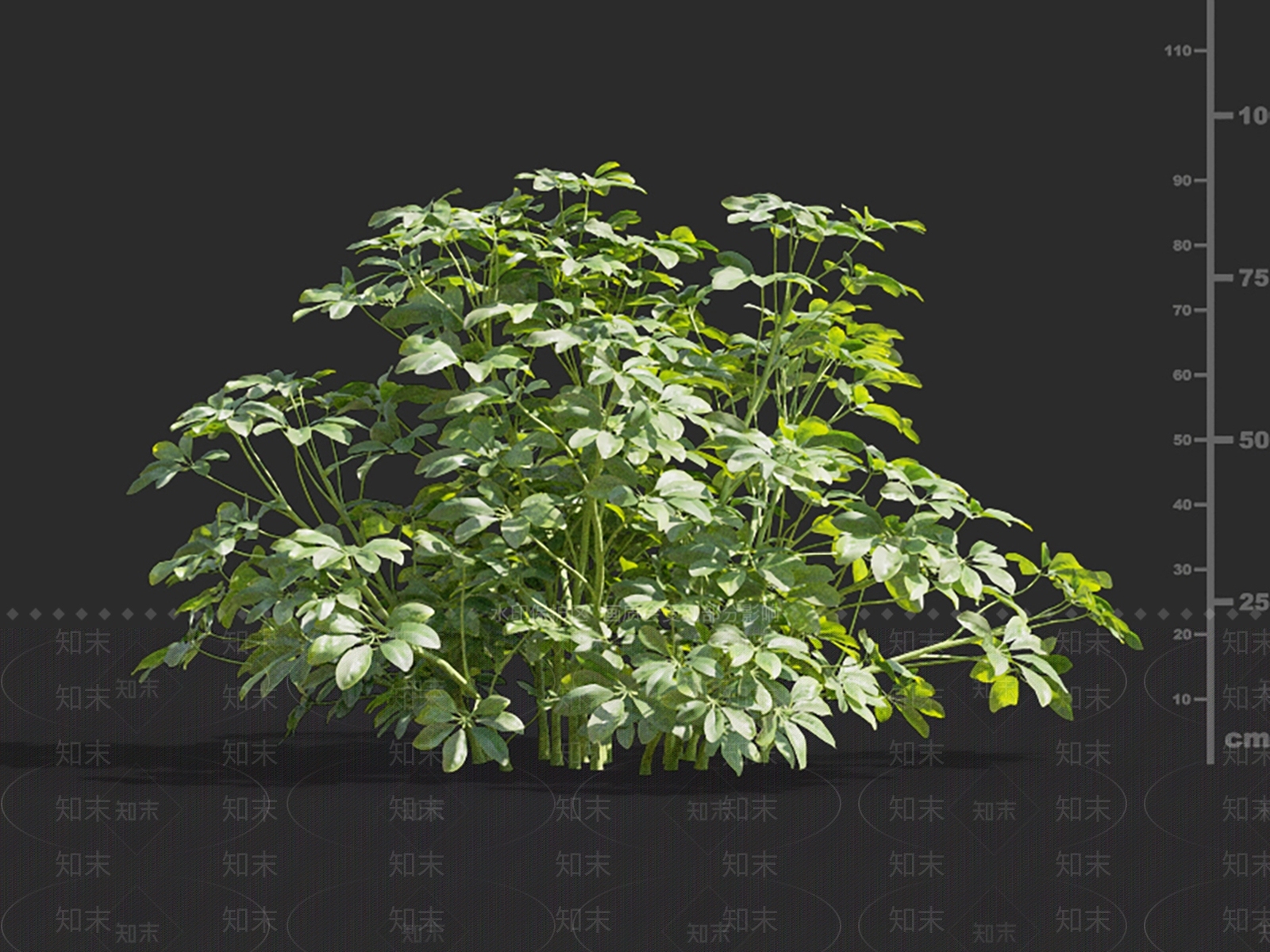 灌木3D模型下载【ID:1145932156】