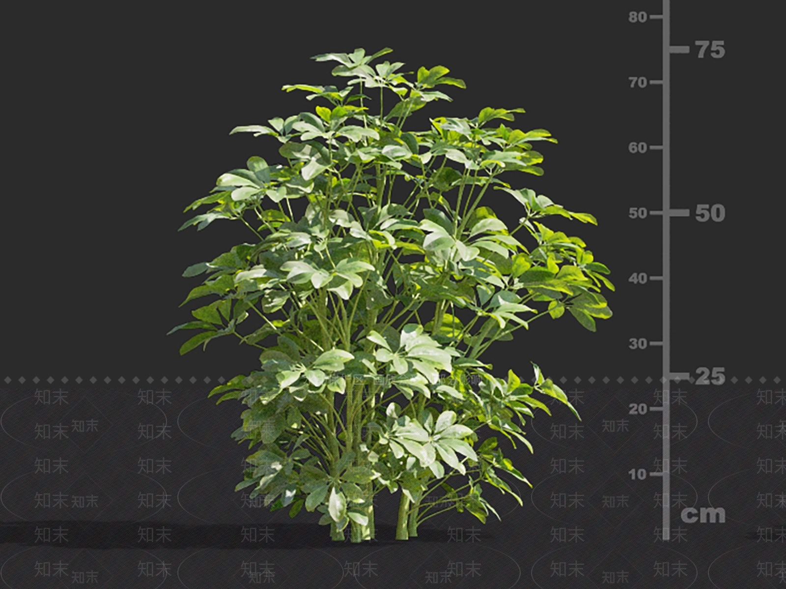 灌木3D模型下载【ID:1145932240】