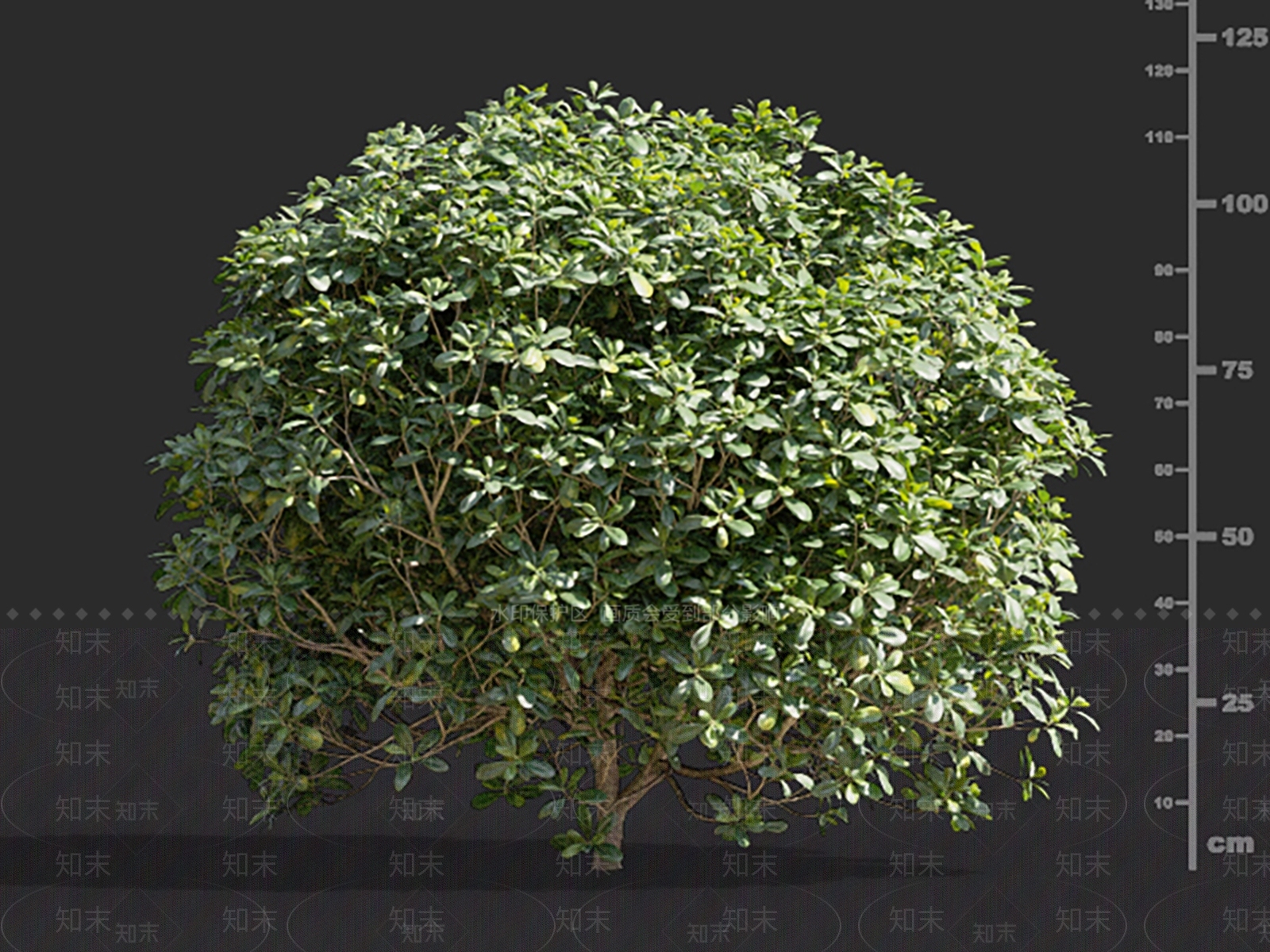 灌木3D模型下载【ID:1145932398】