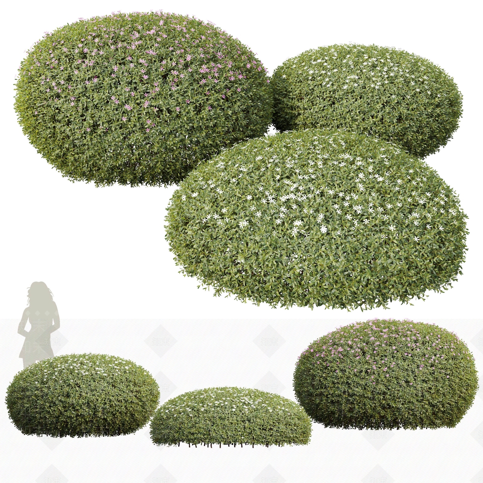 灌木3D模型下载【ID:1145956396】
