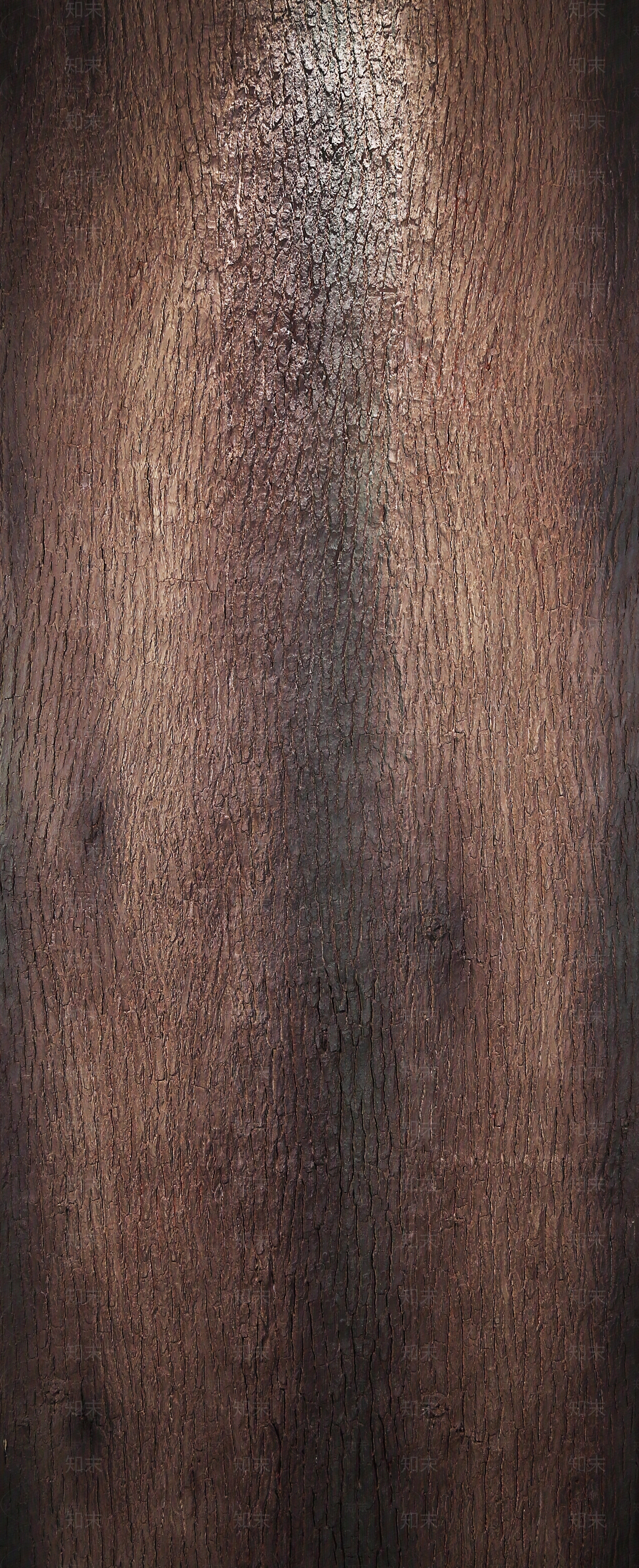 深色老树皮木纹贴图下载【ID:1145967243】