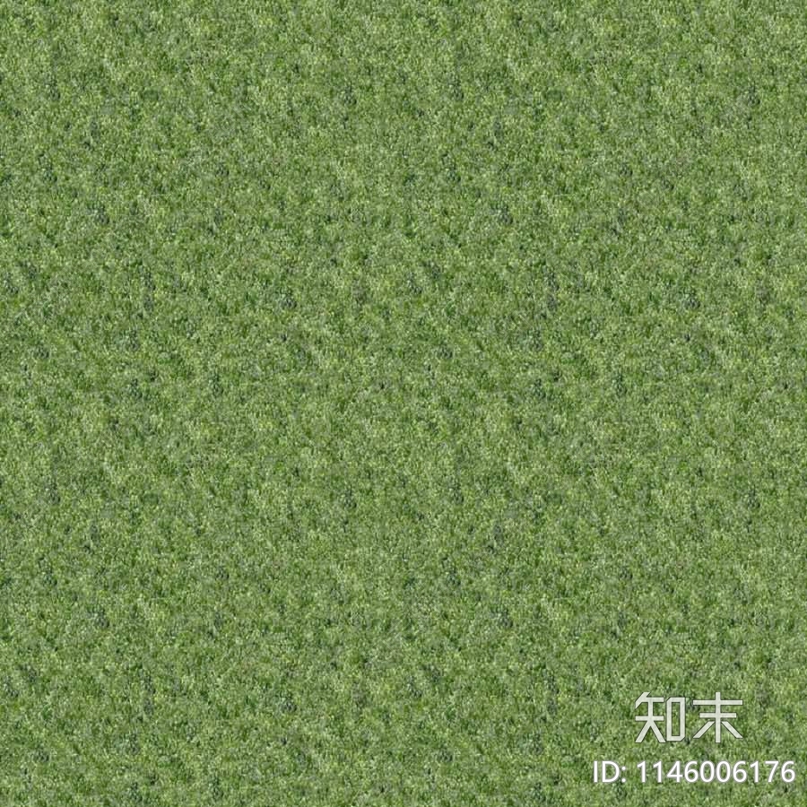 草坪草皮草地贴图下载【ID:1146006176】