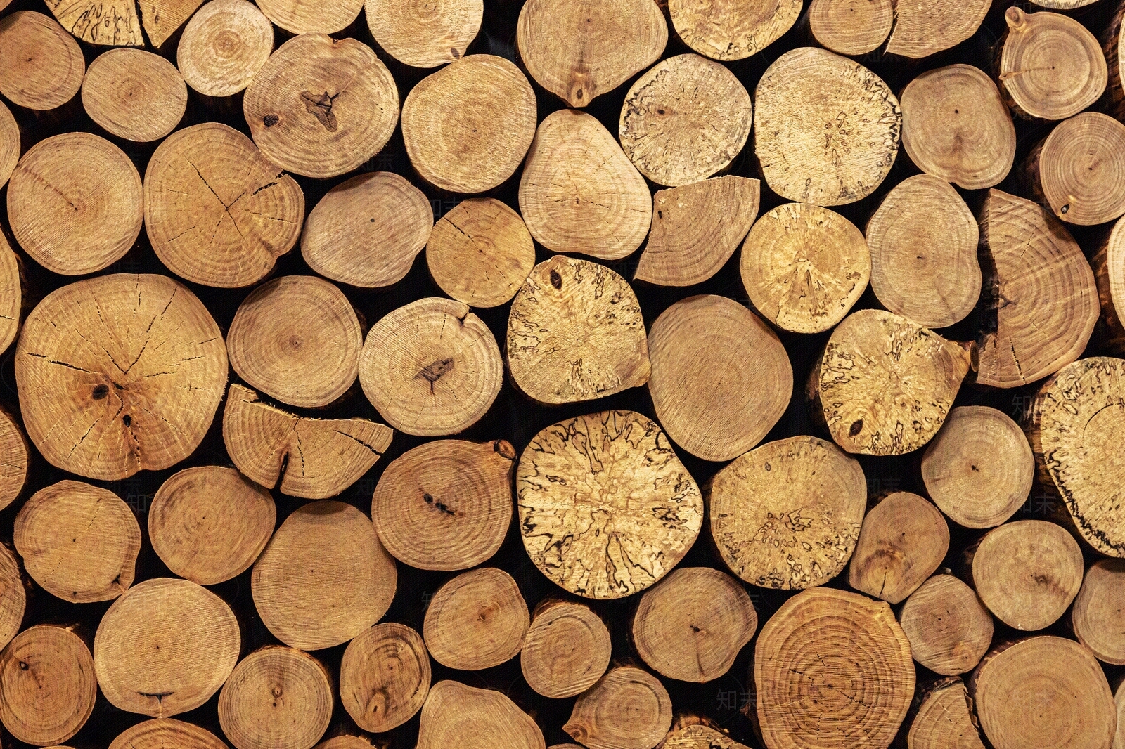 木纹横切面年轮贴图下载【ID:1146028703】