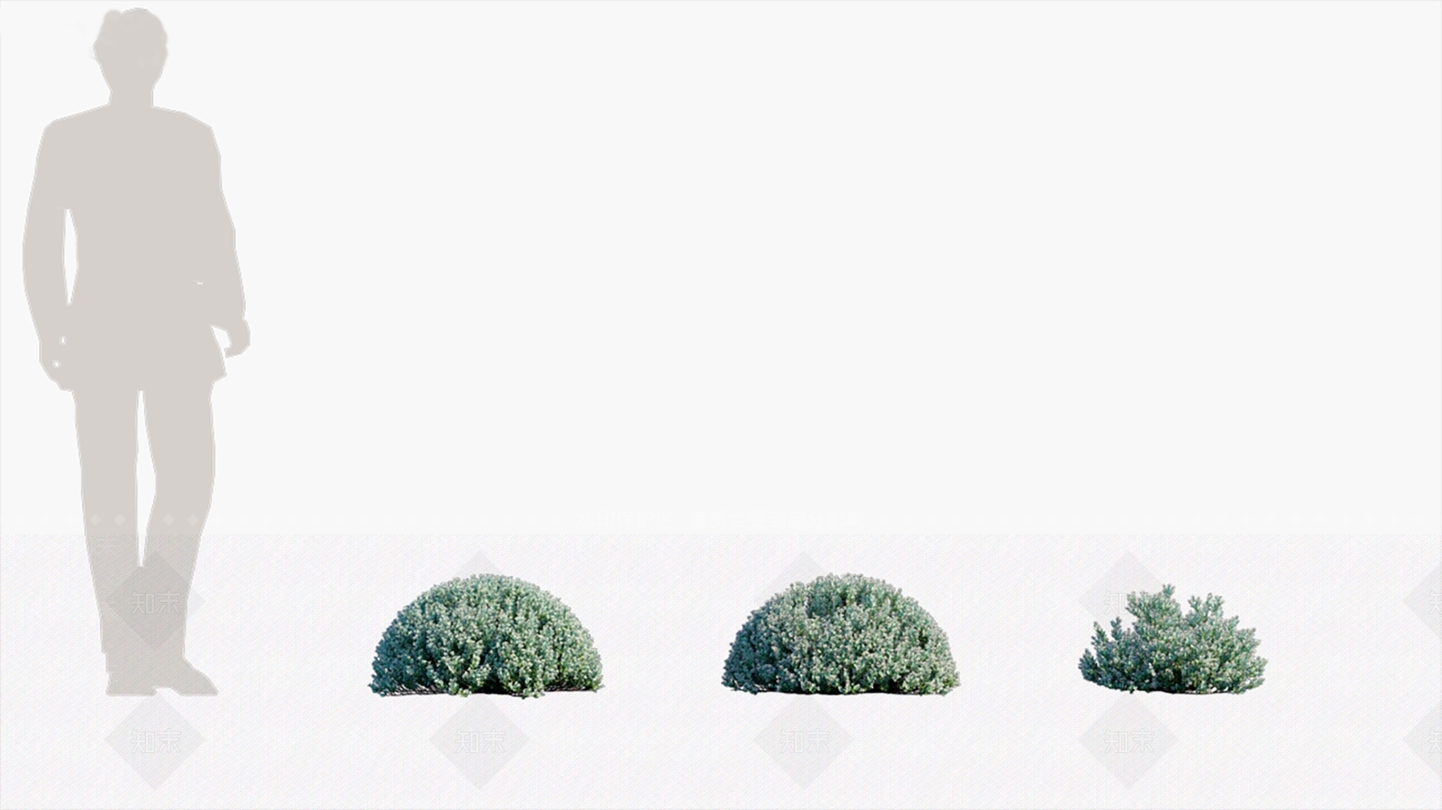 灌木3D模型下载【ID:1146053209】
