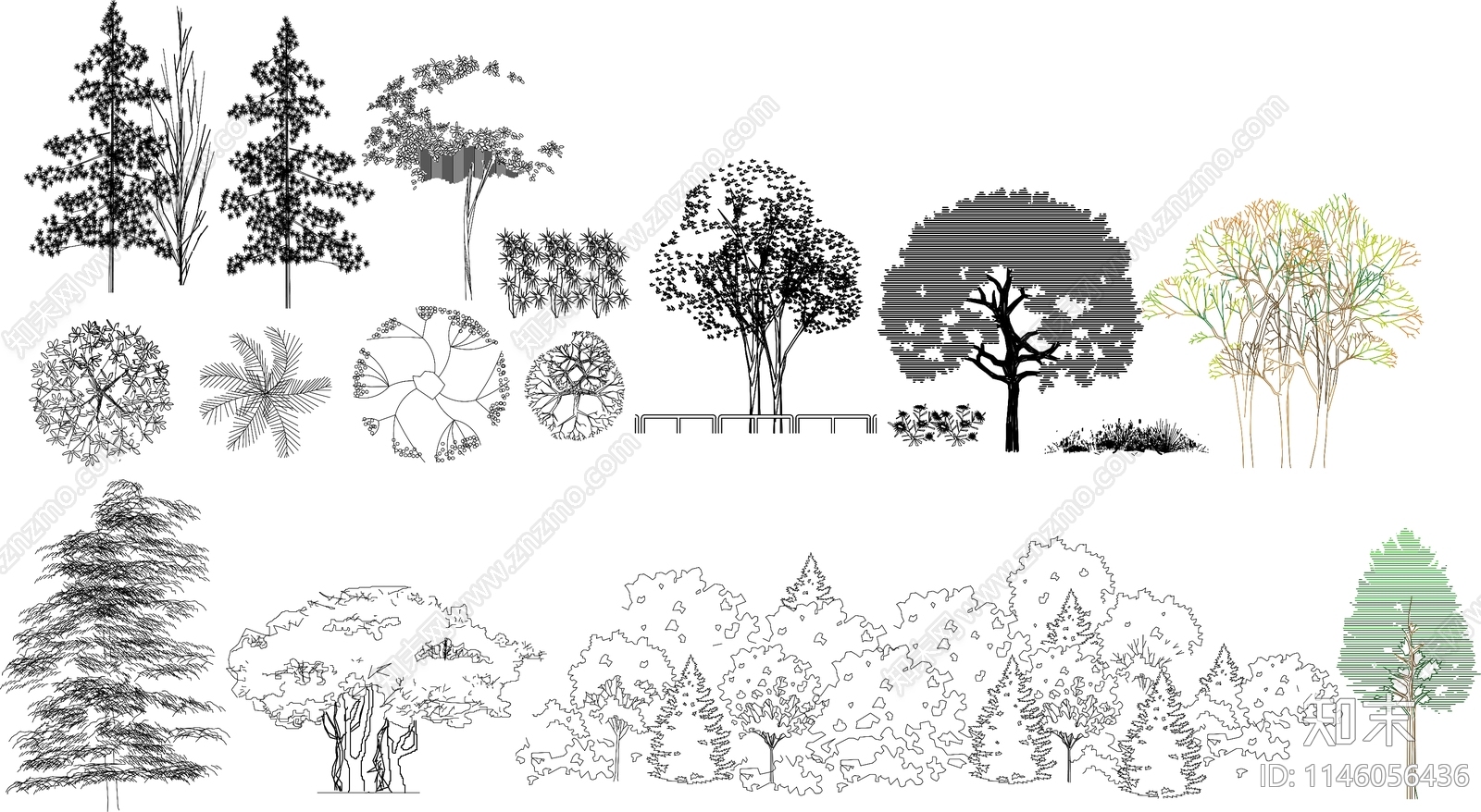 常用景观植物立面图库施工图下载【ID:1146056436】
