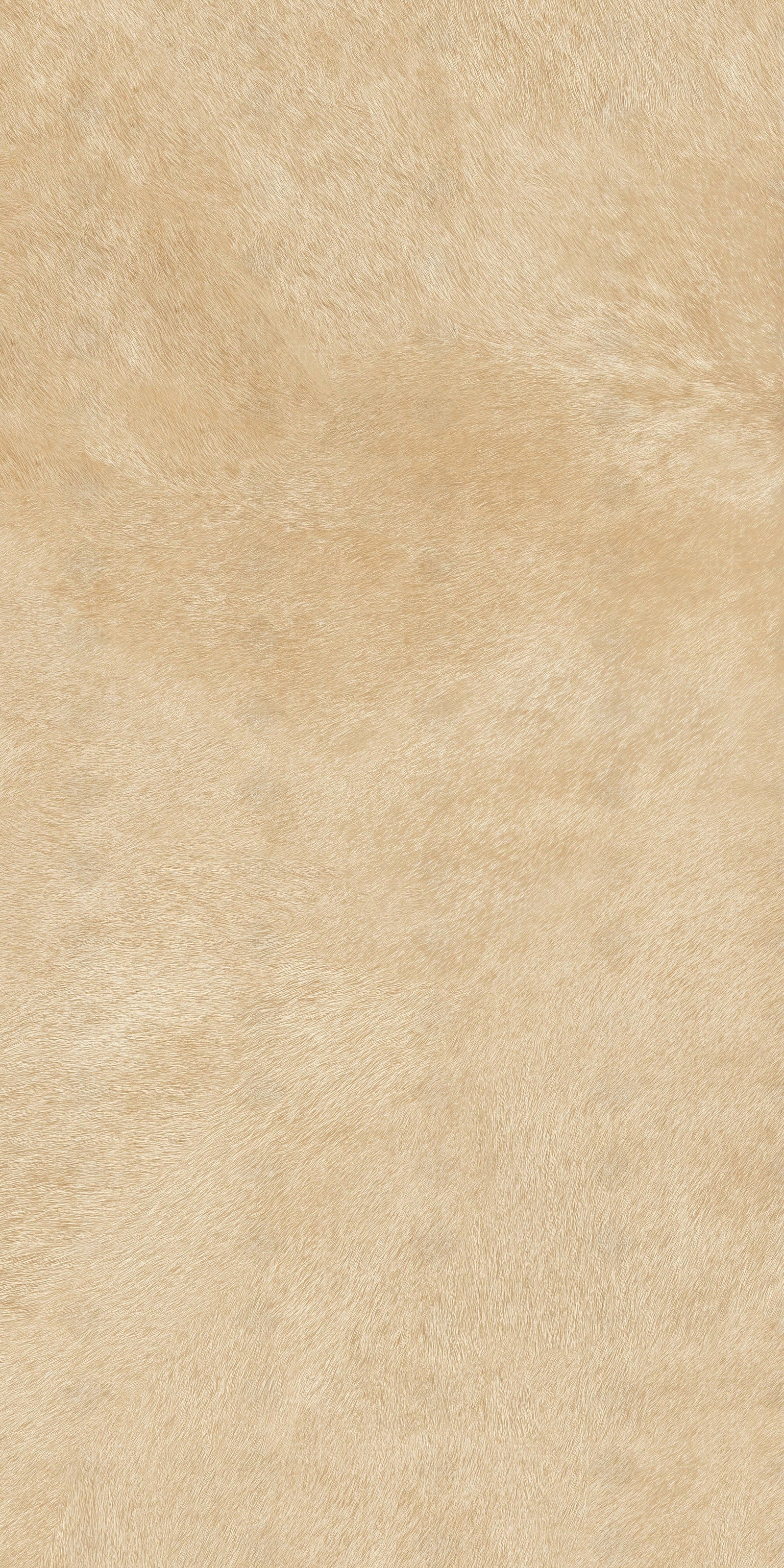 米黄色绒毛地毯贴图下载【ID:1146094647】