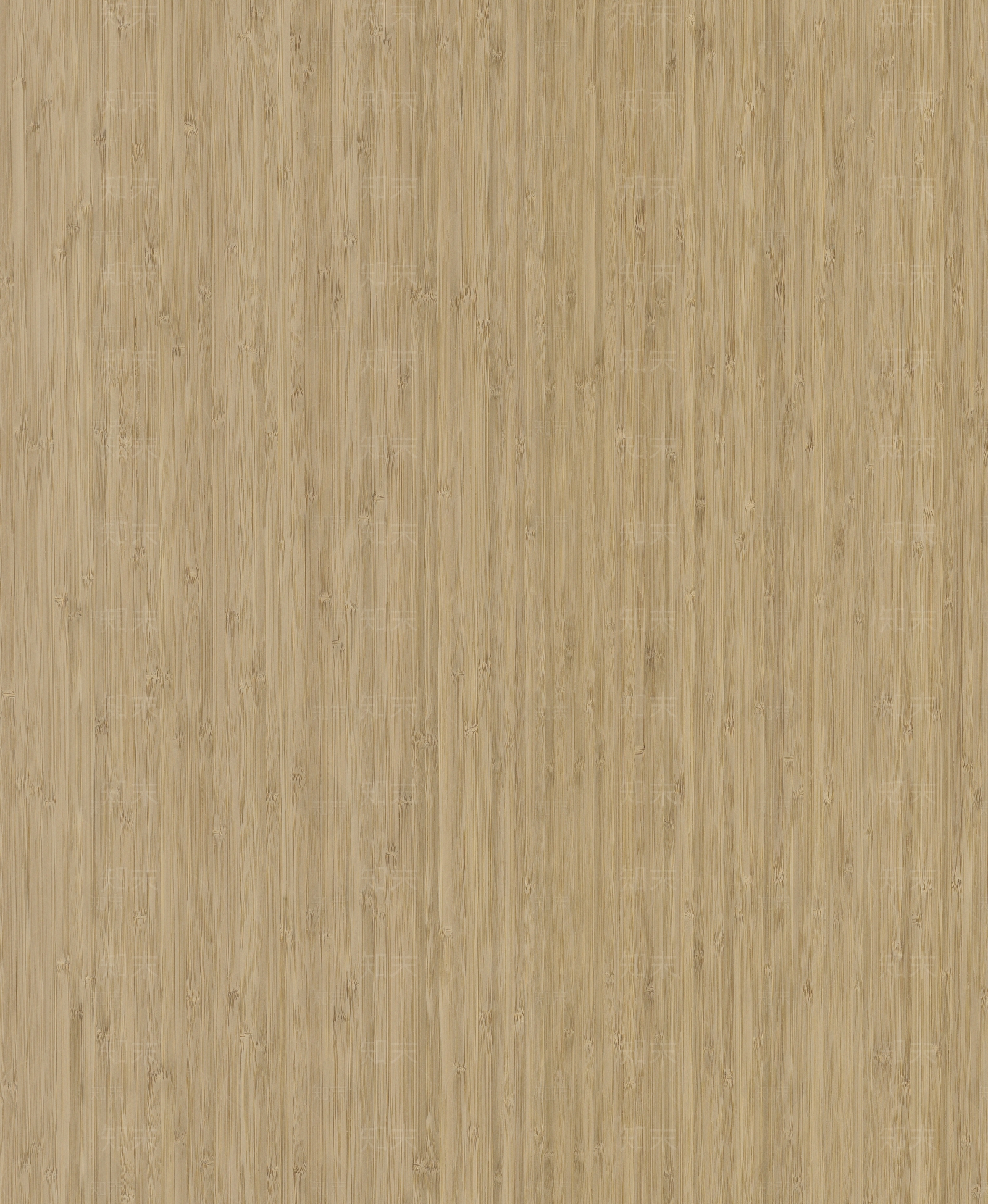 竹子纹理木纹贴图下载【ID:1146095265】