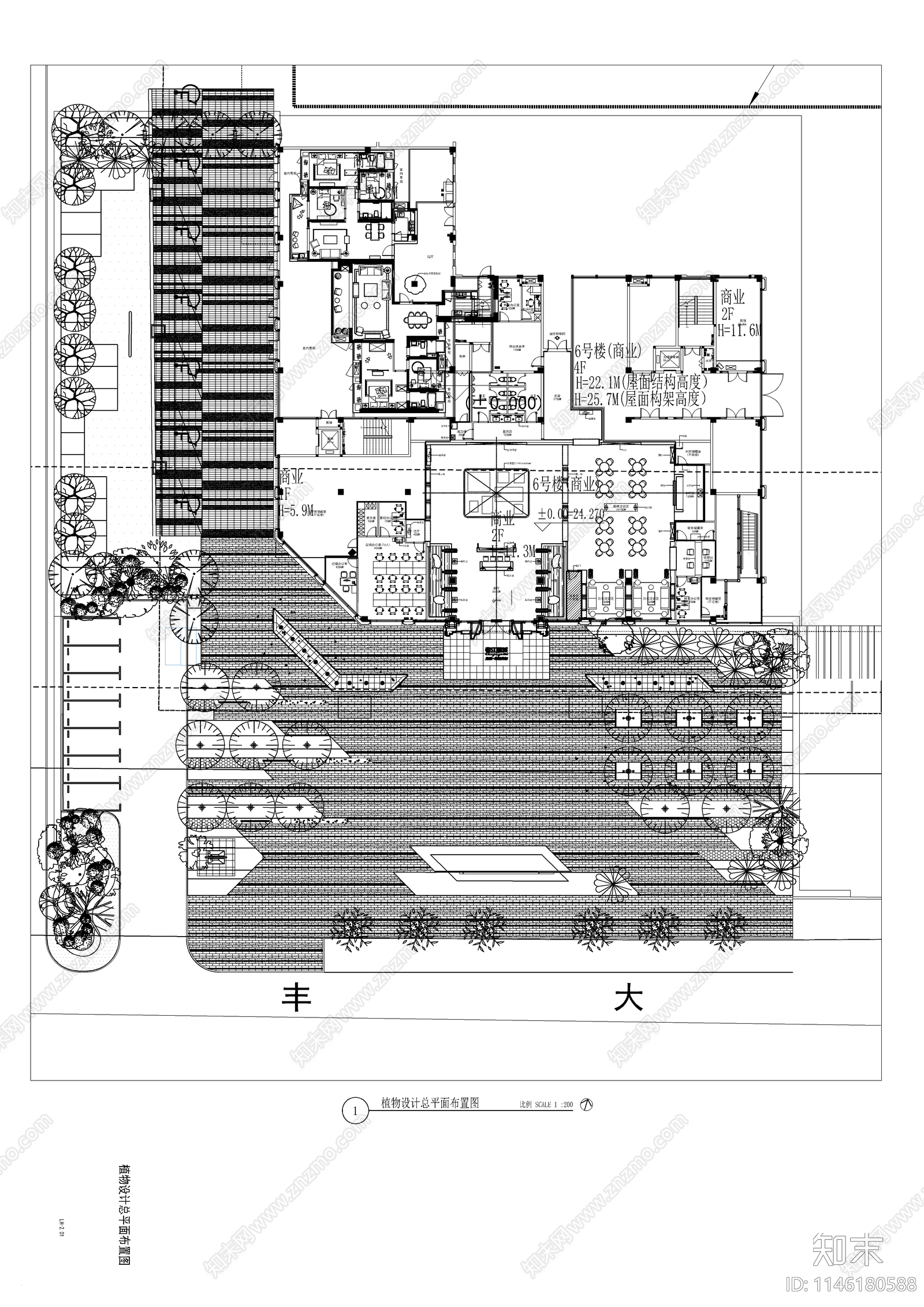 现代示范区植物平面cad施工图下载【ID:1146180588】