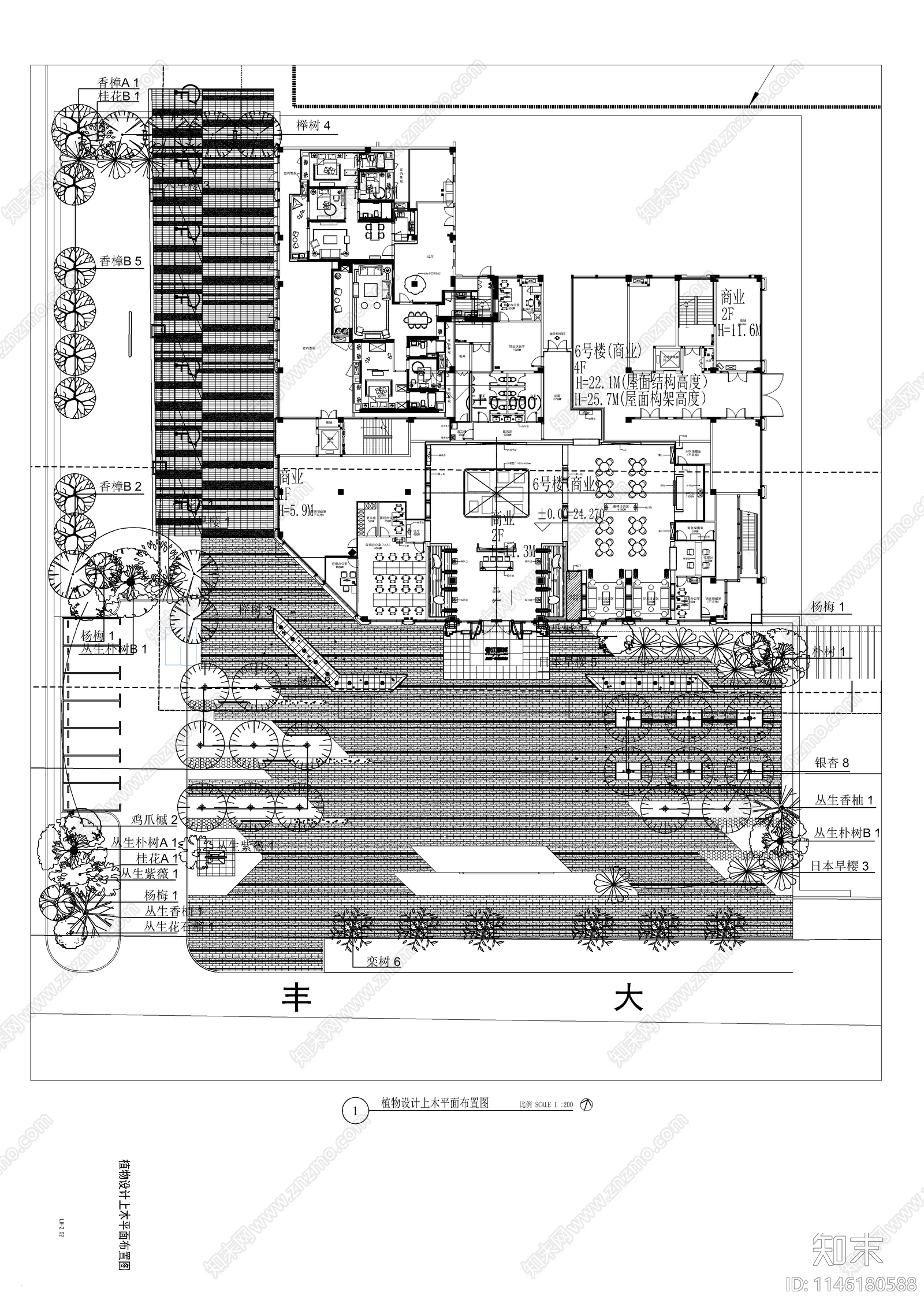 现代示范区植物平面cad施工图下载【ID:1146180588】
