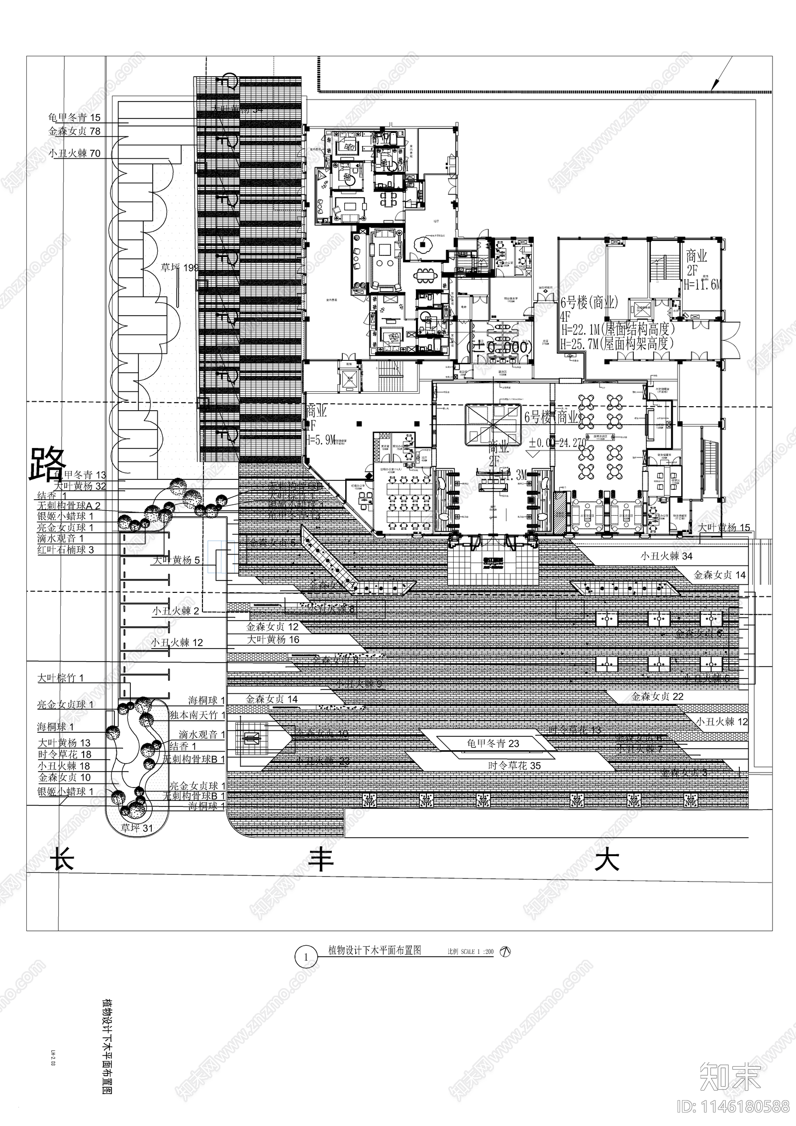 现代示范区植物平面施工图下载【ID:1146180588】