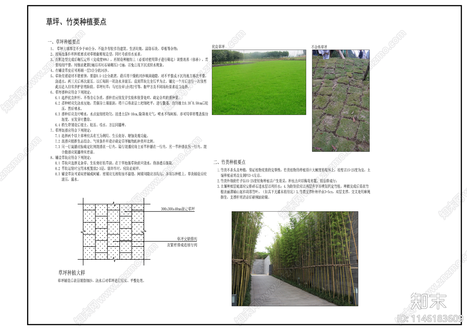 景观平面图cad施工图下载【ID:1146183609】
