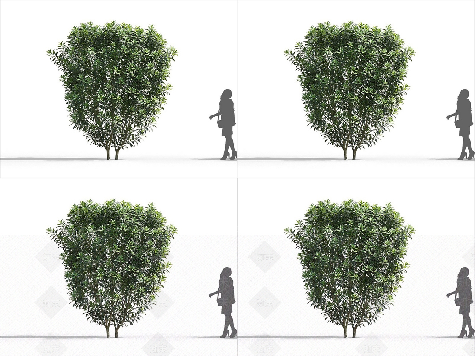 现代杨梅3D模型下载【ID:1146228269】