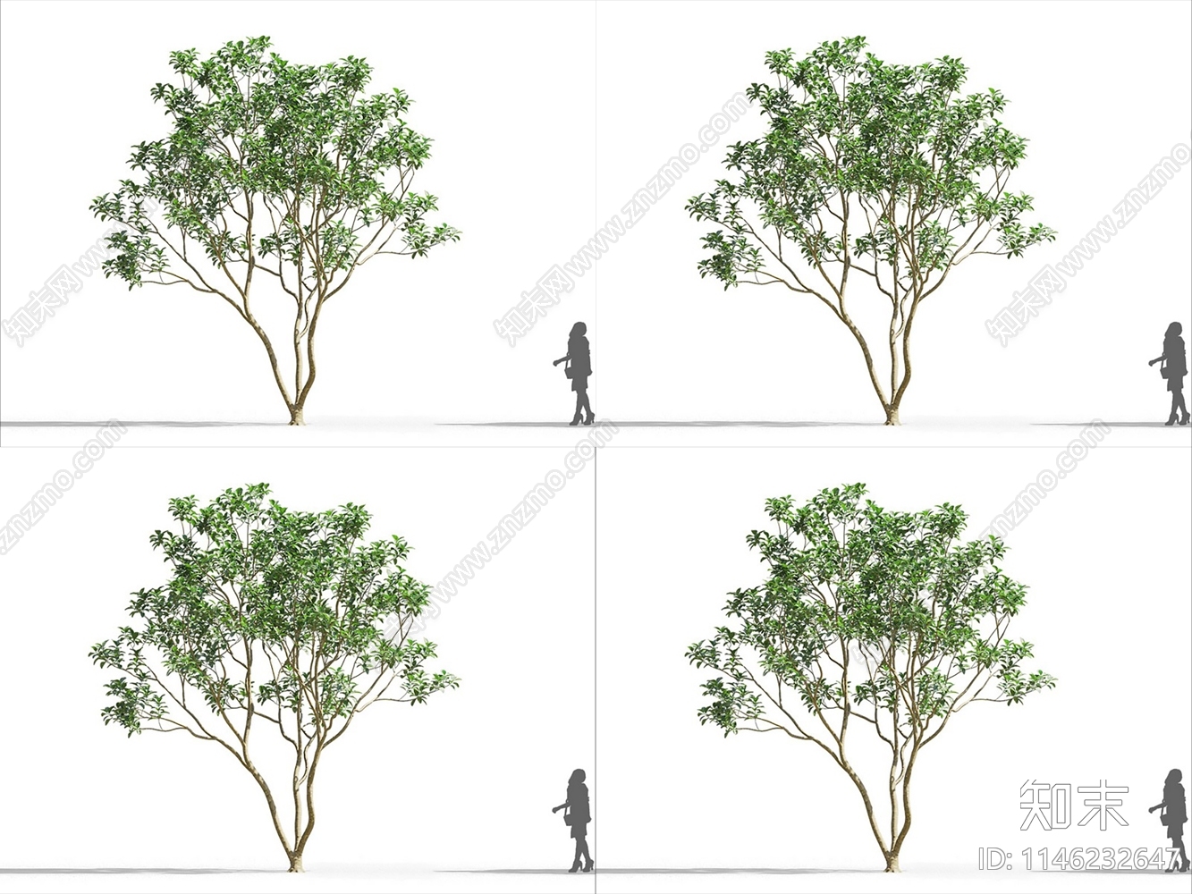 现代小乔木3D模型下载【ID:1146232647】