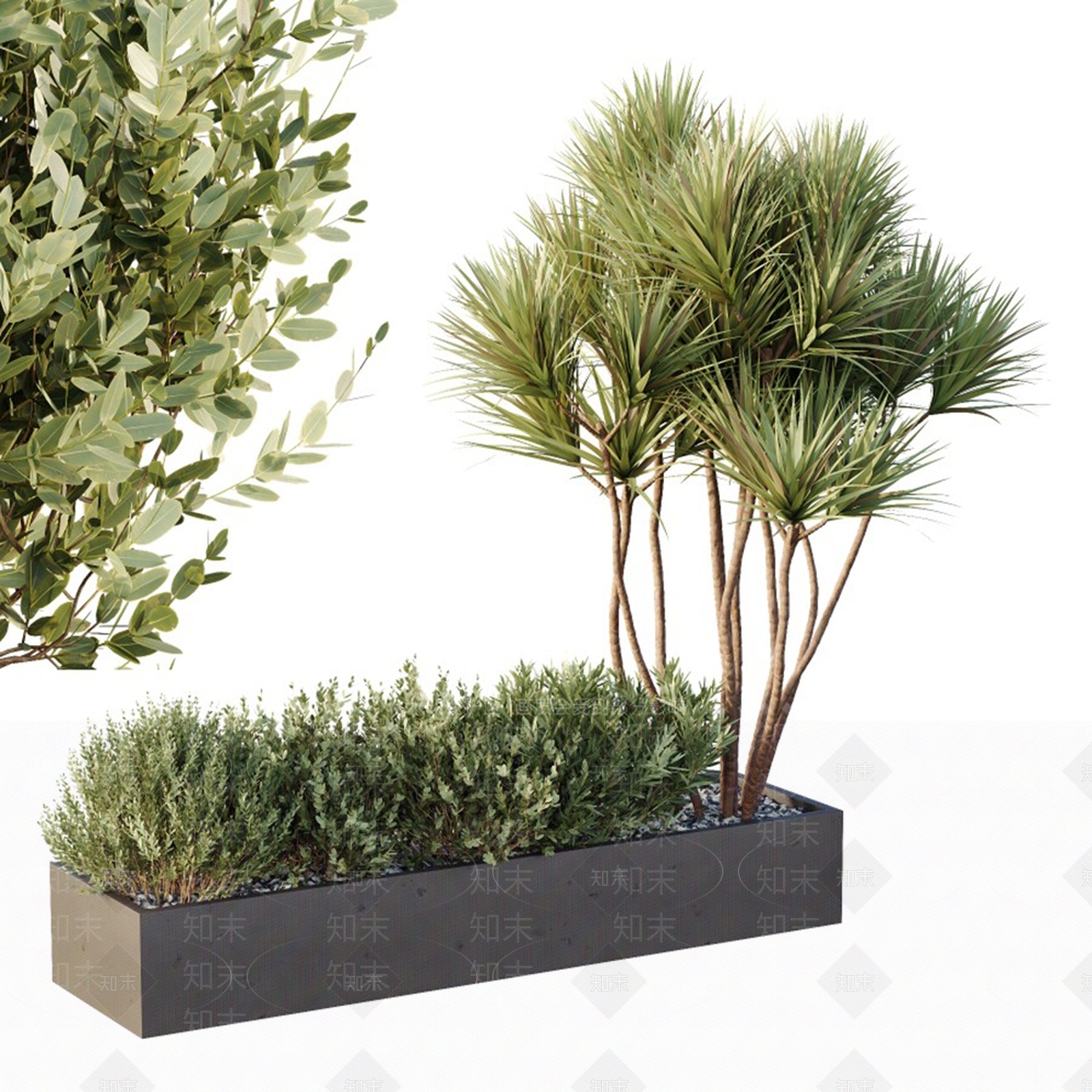 植物堆3D模型下载【ID:1146286189】