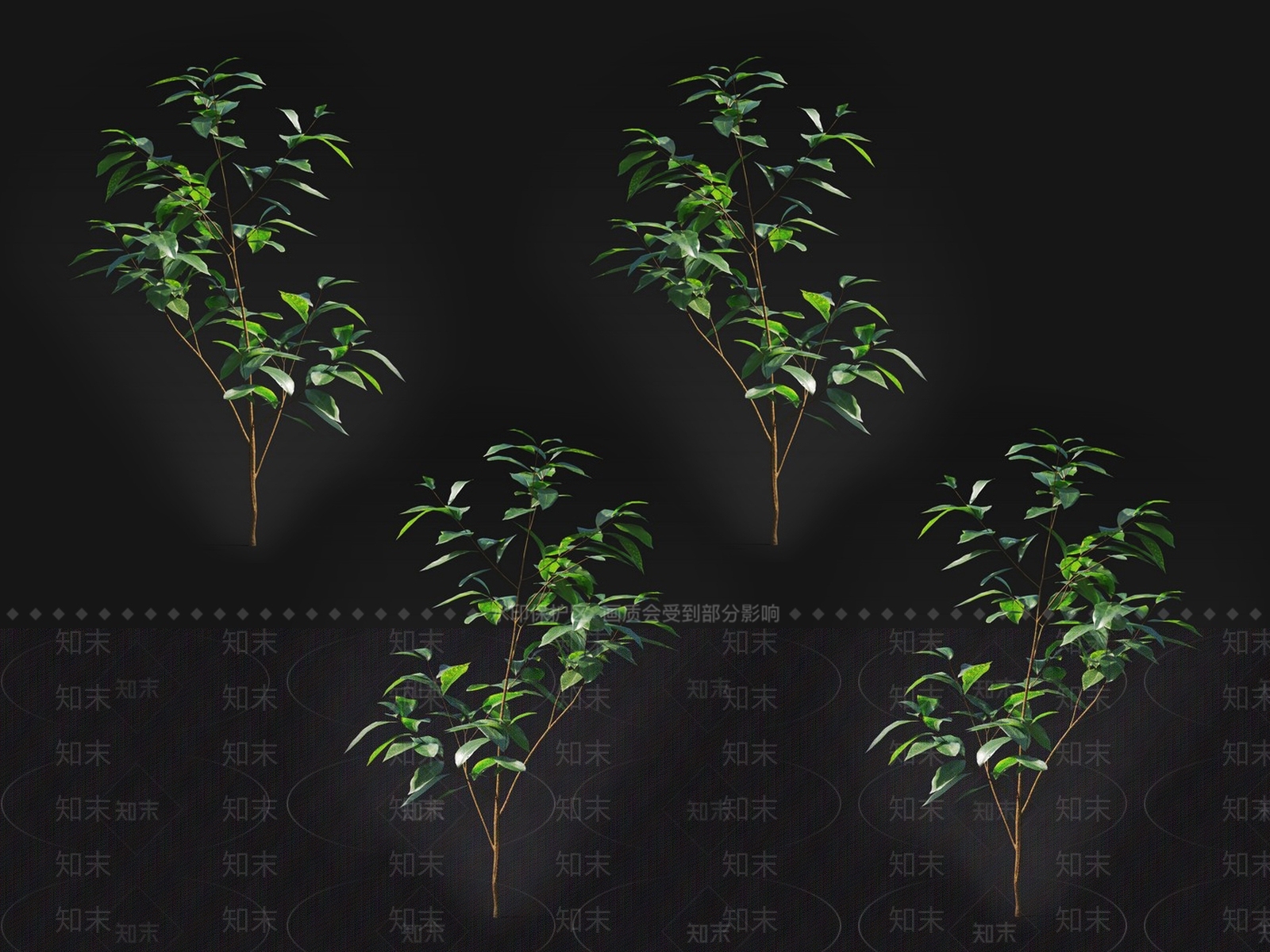 常绿大灌木3D模型下载【ID:1146307949】