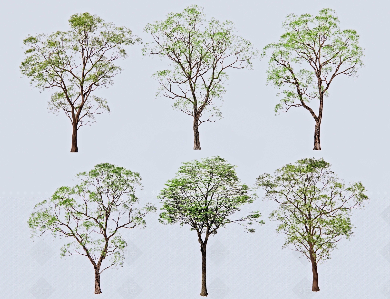 乔木3D模型下载【ID:1146324484】