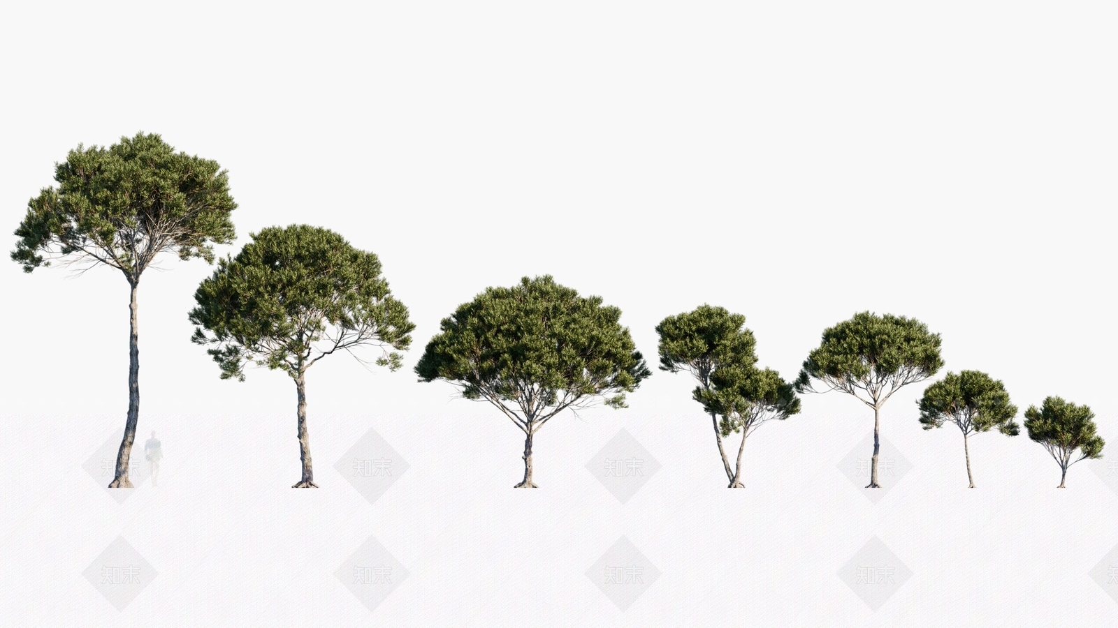 乔木3D模型下载【ID:1146338680】