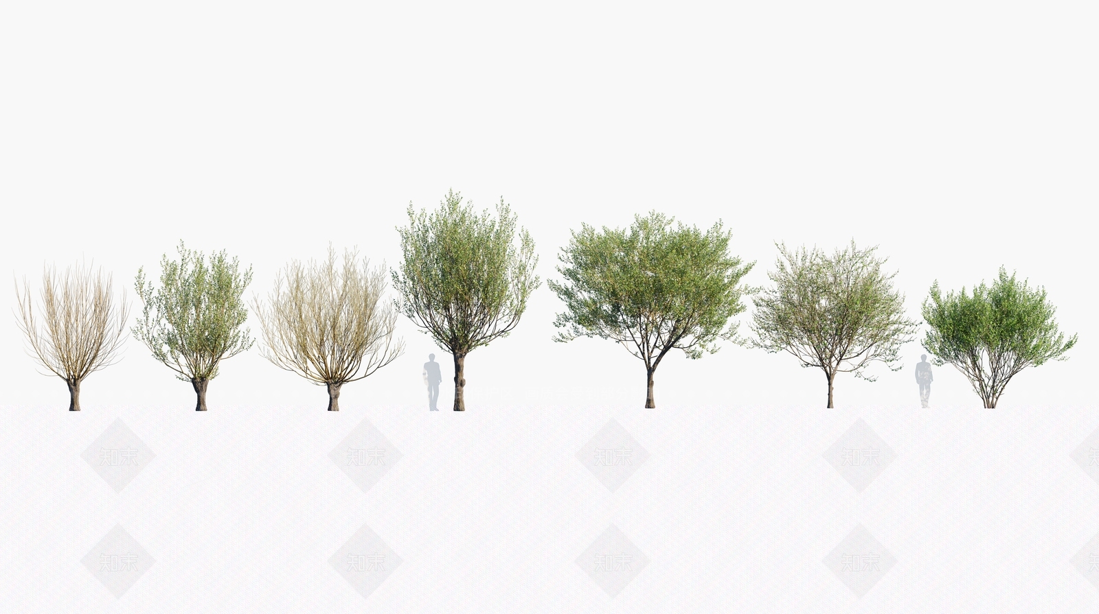 乔木3D模型下载【ID:1146338843】