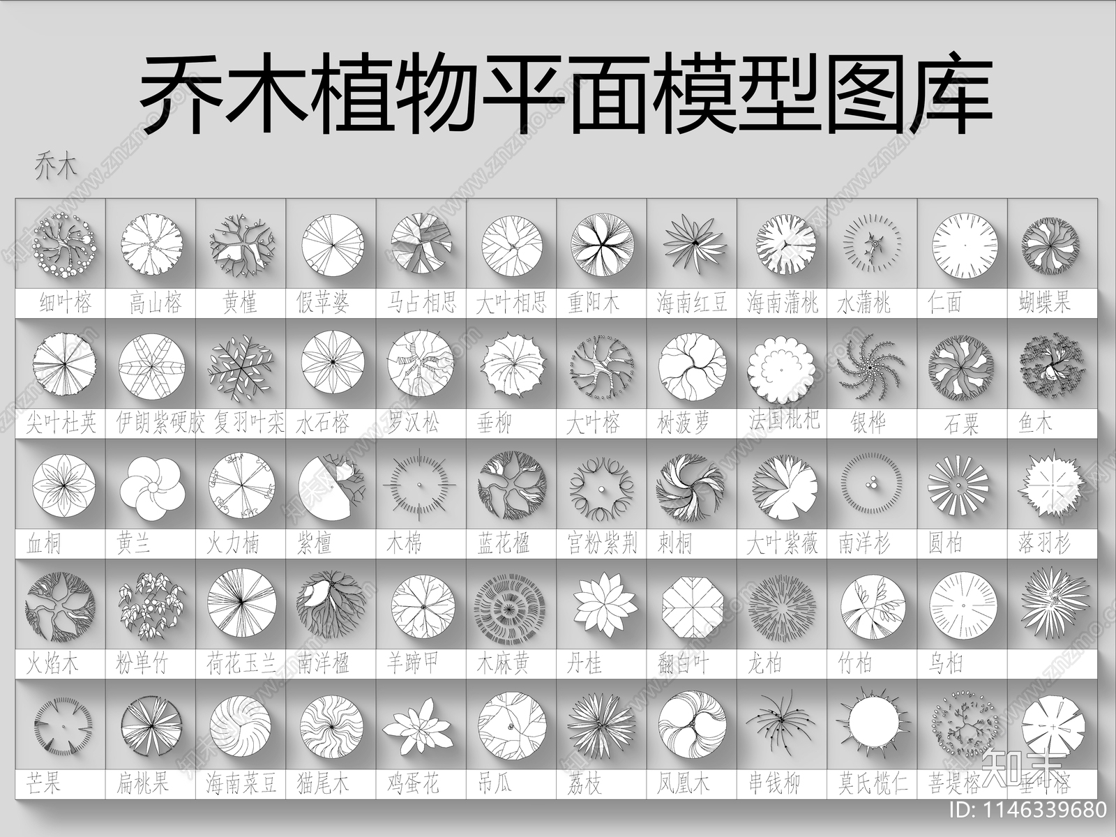 乔木植物图库施工图下载【ID:1146339680】