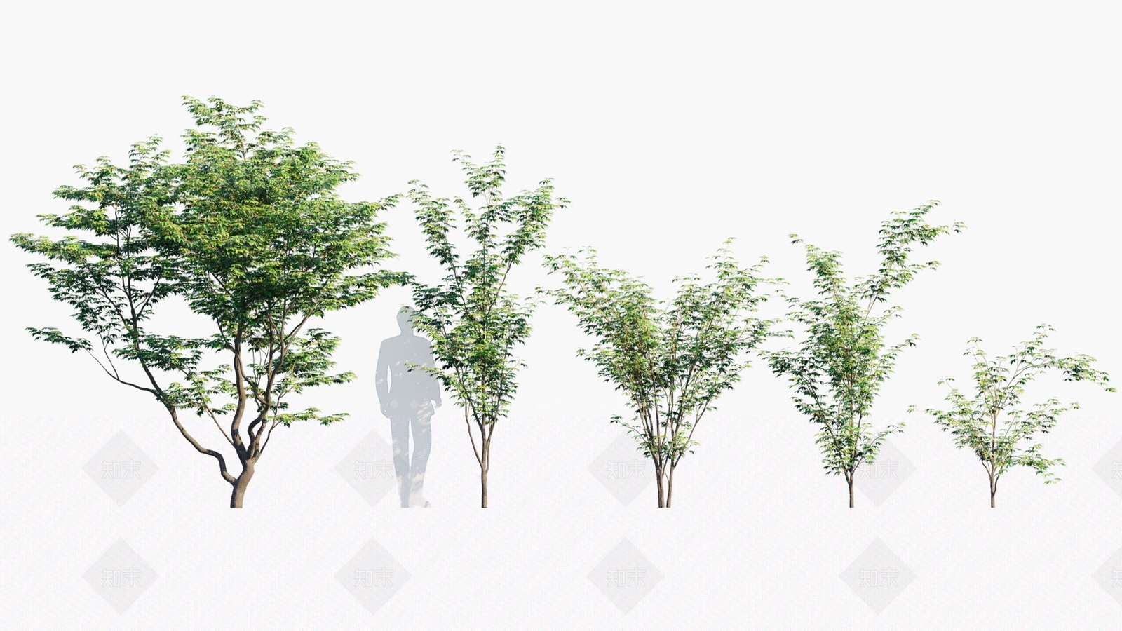 乔木3D模型下载【ID:1146348161】