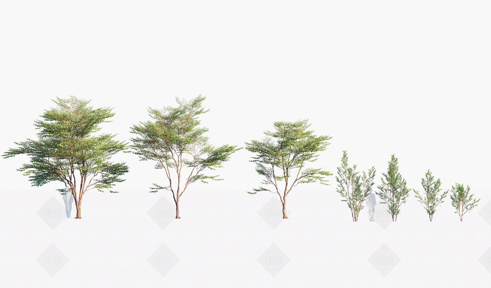 乔木3D模型下载【ID:1146350024】