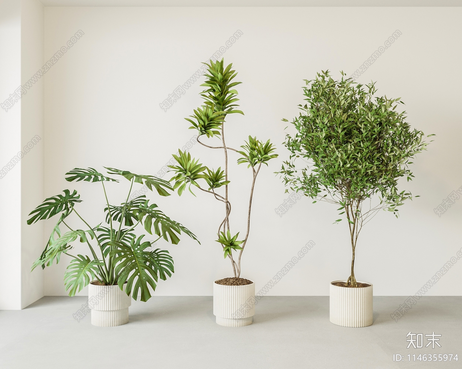 盆栽植物组合3D模型下载【ID:1146355974】