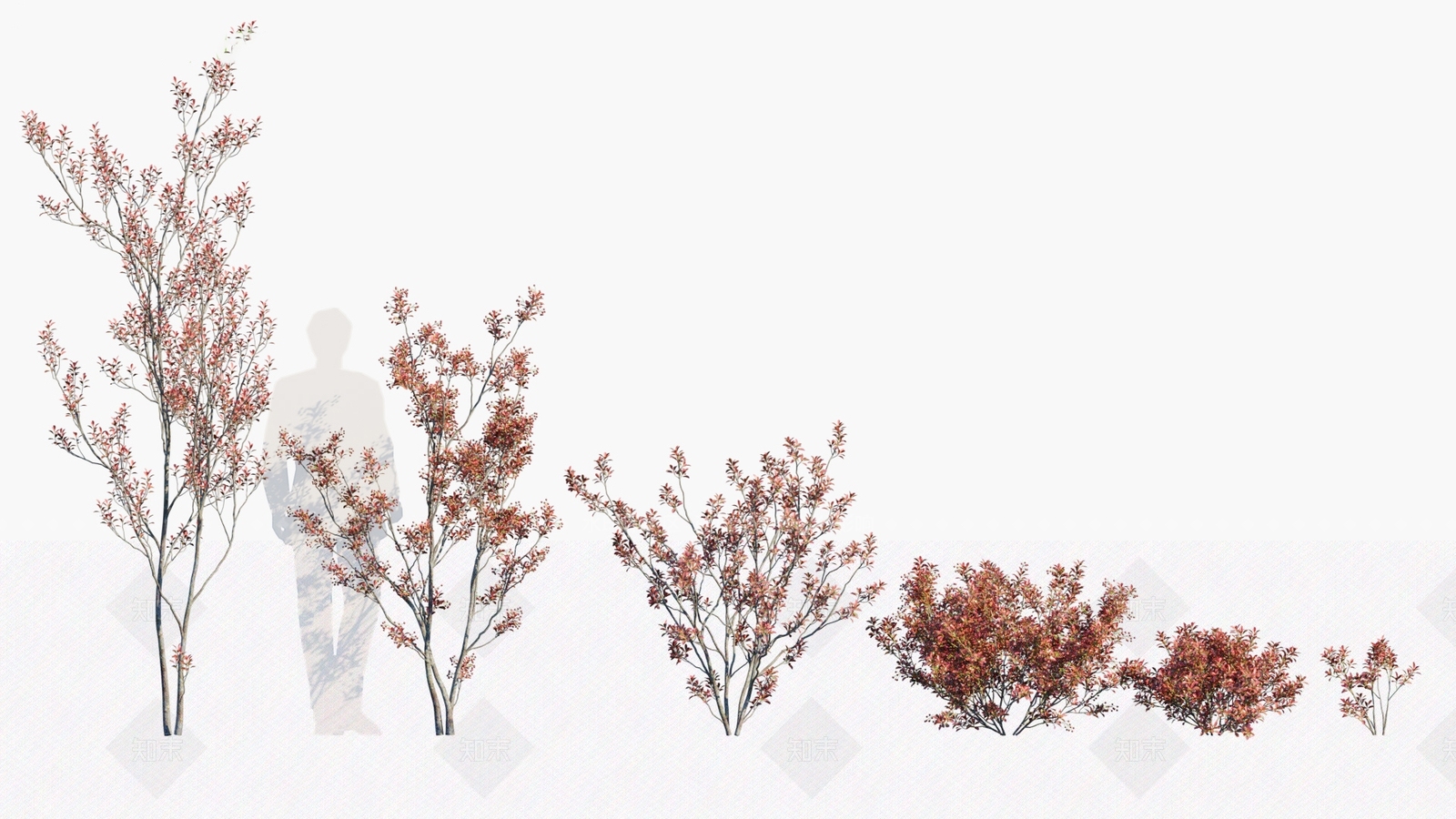 灌木3D模型下载【ID:1146360609】