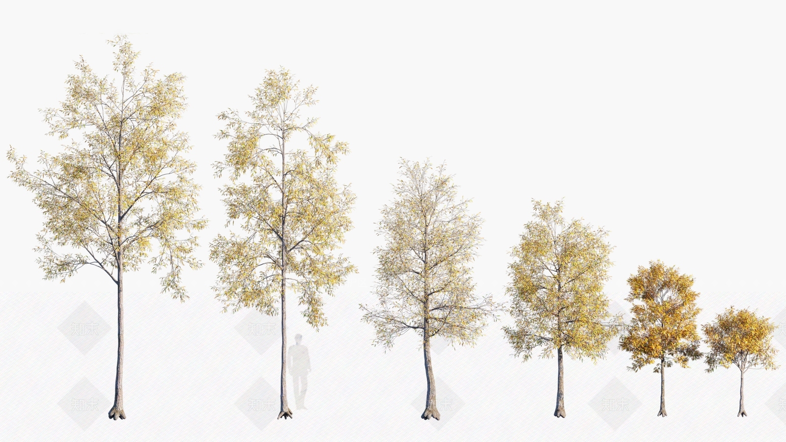 乔木3D模型下载【ID:1146363212】