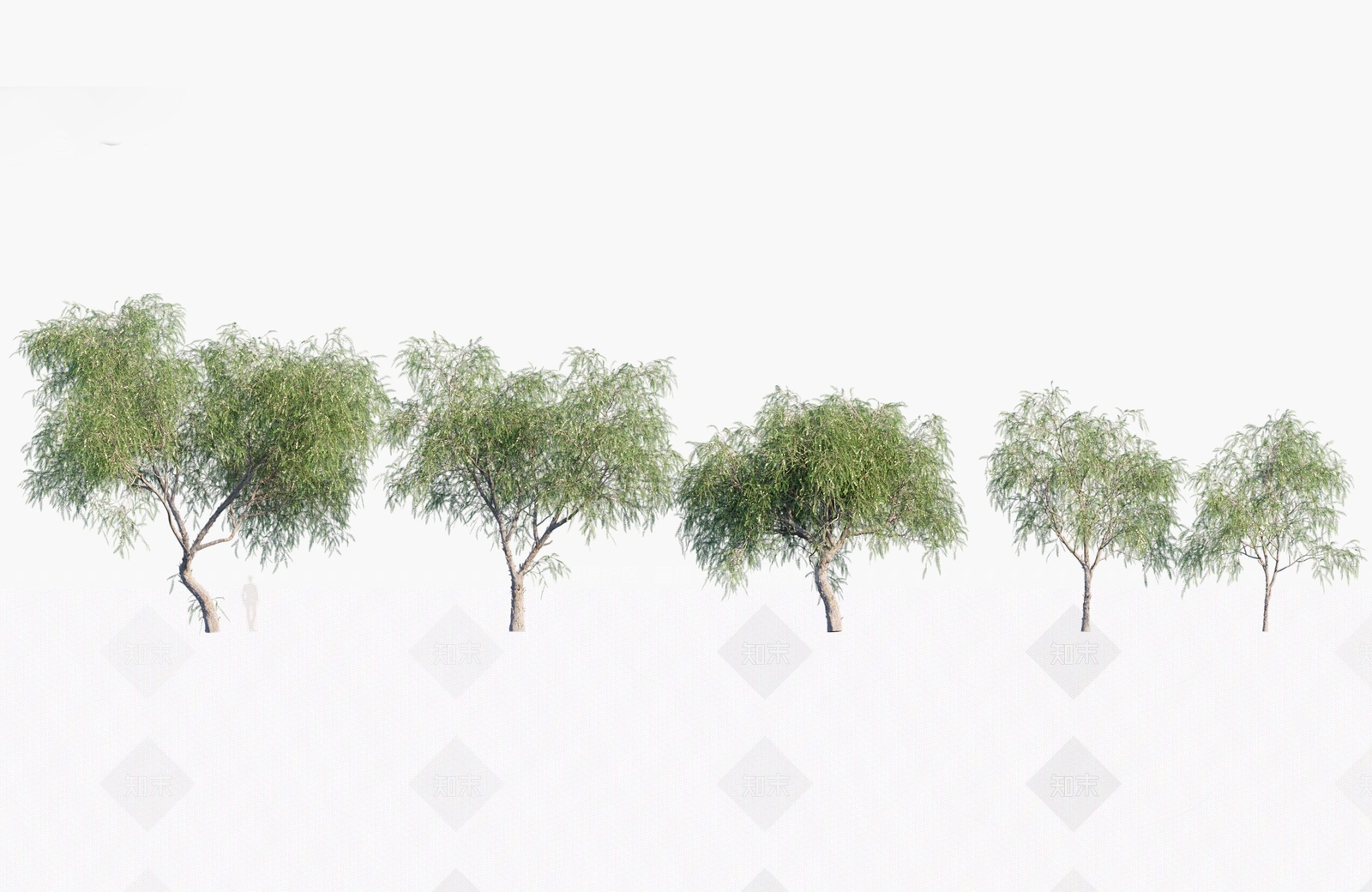 乔木3D模型下载【ID:1146388365】
