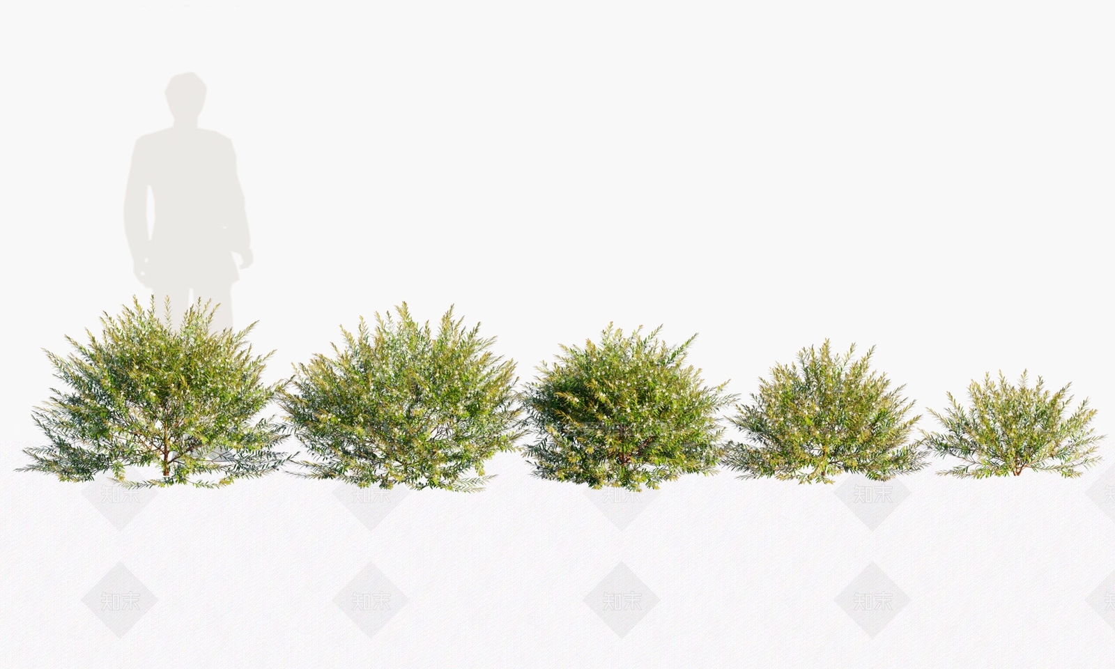 灌木3D模型下载【ID:1146388905】