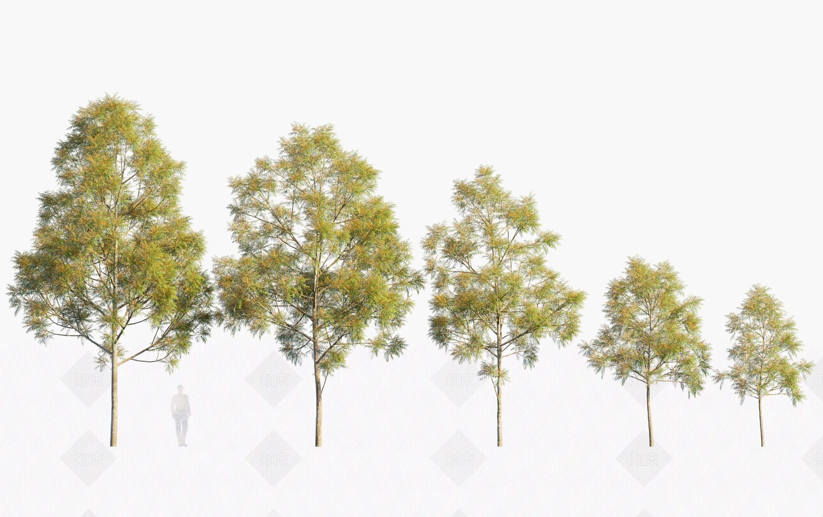 乔木3D模型下载【ID:1146389598】