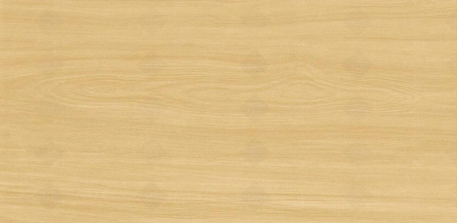 暮黄梧桐贴图下载【ID:1146408762】