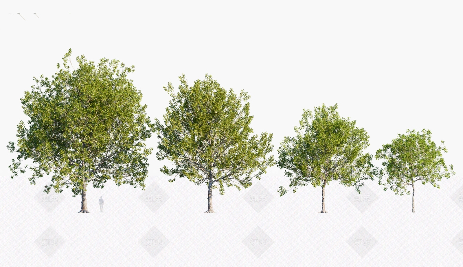 乔木3D模型下载【ID:1146426233】