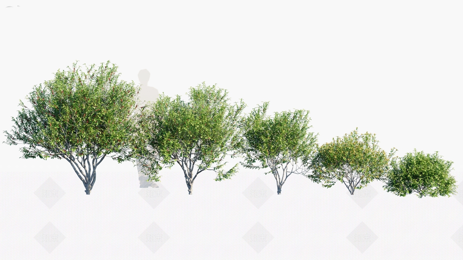 灌木3D模型下载【ID:1146452562】