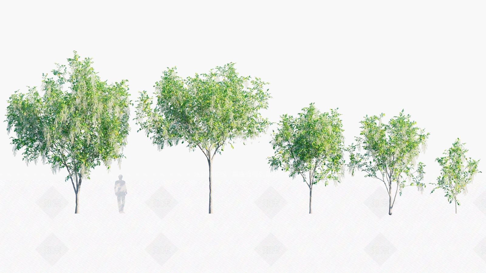 乔木3D模型下载【ID:1146457909】